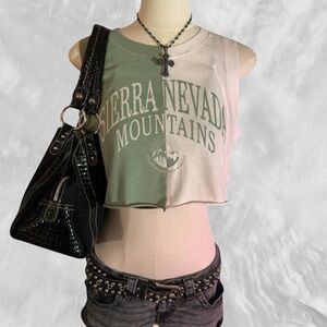 Hollister XS Sierra Nevada Mountains Crop Top – Y2K Vintage Casual